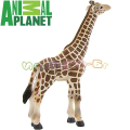 Animal Planet 104112504 Жираф